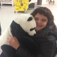 a panda hug