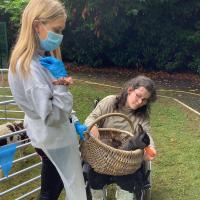 Feeding the bunnies 